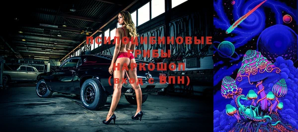 ГАЛЛЮЦИНОГЕННЫЕ ГРИБЫ Нефтекумск