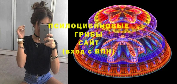 ГАЛЛЮЦИНОГЕННЫЕ ГРИБЫ Навашино