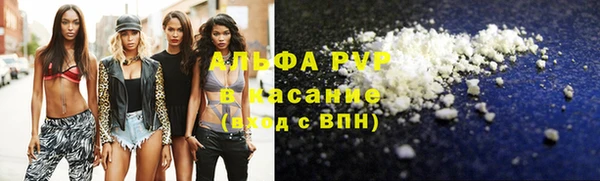 скорость Новозыбков