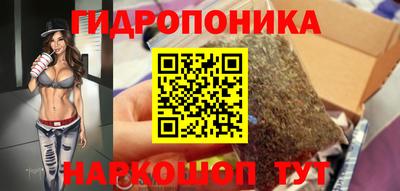 тгк Канаш