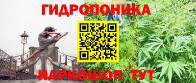 эйфоретик Камышлов