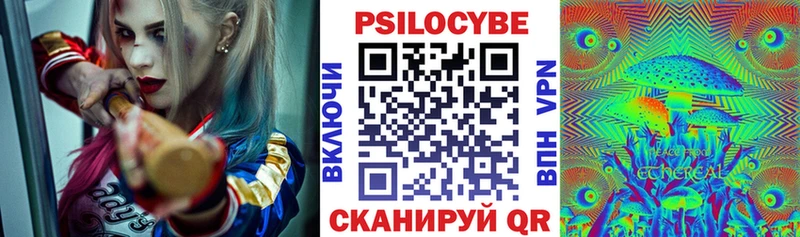 Псилоцибиновые грибы прущие грибы мега вход Моздок продажа наркотиков