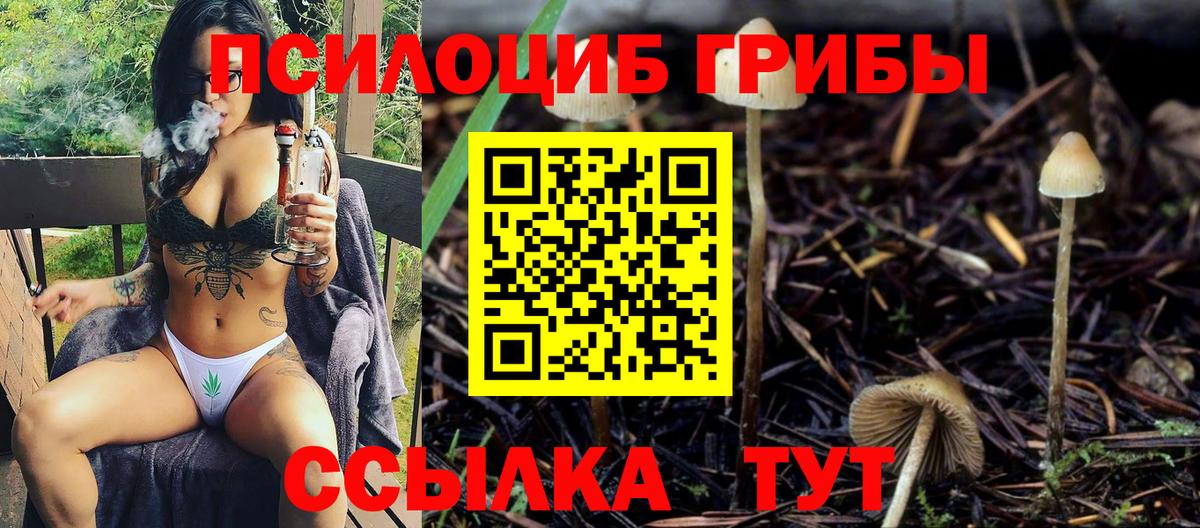 Галлюциногенные грибы мицелий Моздок